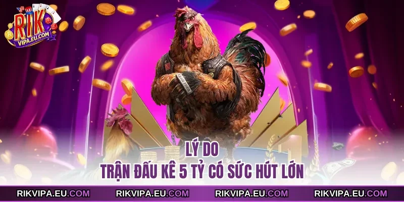 Lý do  trận đấu kê 5 tỷ có sức hút lớn