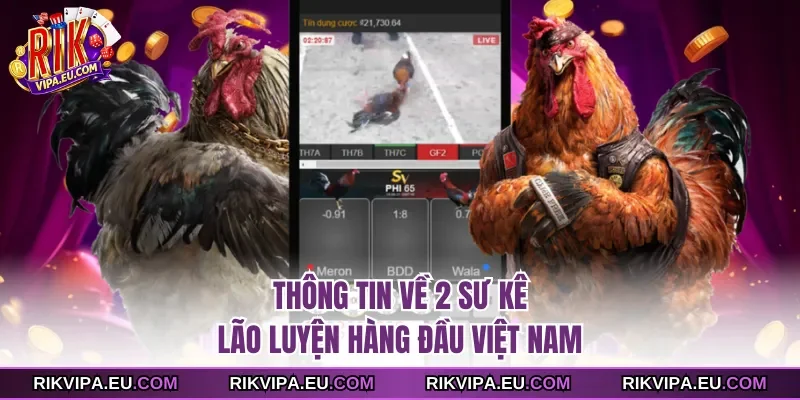 Thông tin về 2 sư kê lão luyện hàng đầu Việt Nam